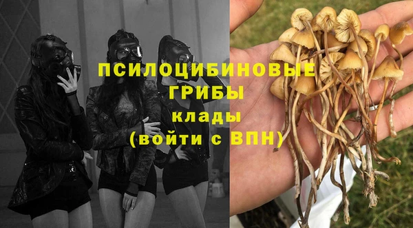 шишки Бронницы